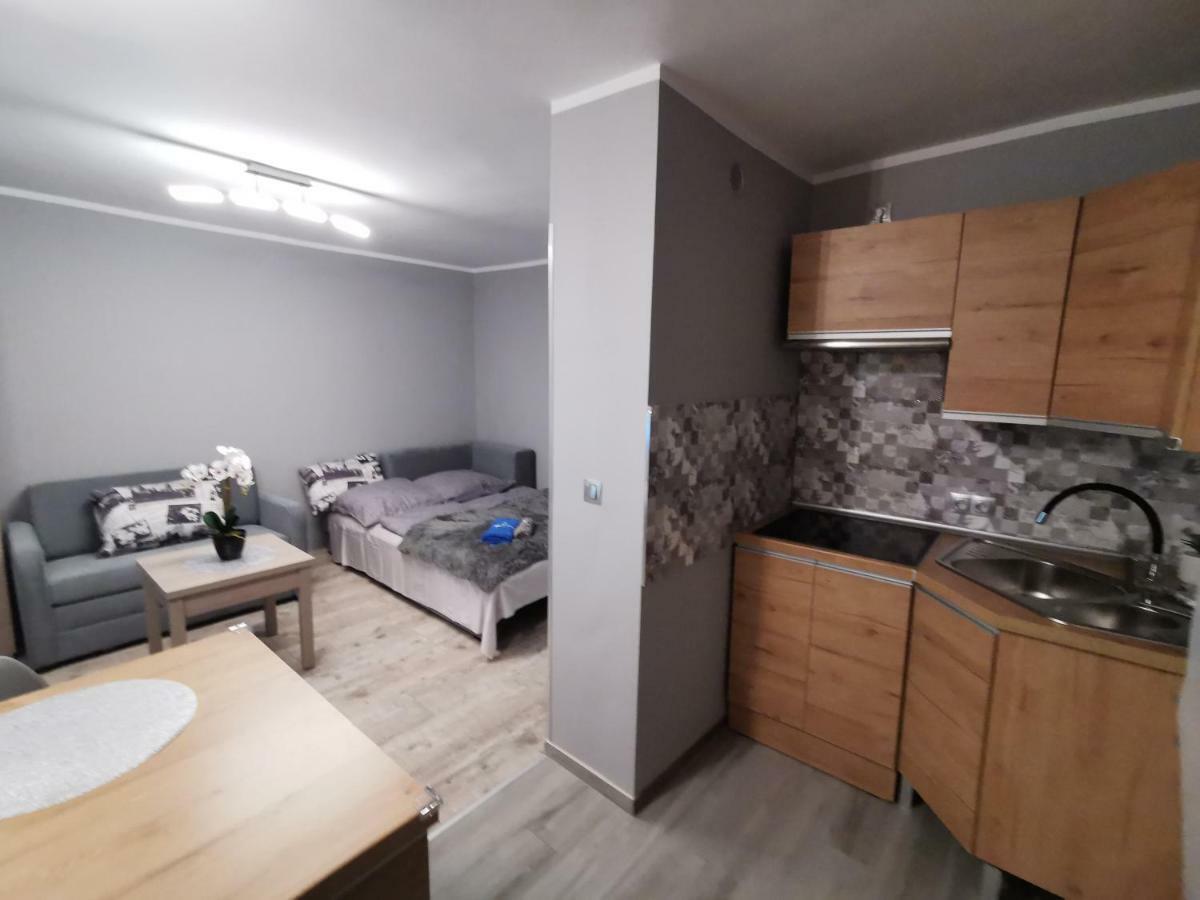 Apartament Gorska 8 - Blisko Centrum Świeradów-Zdrój Kültér fotó